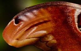 Was wird gesucht..JPG