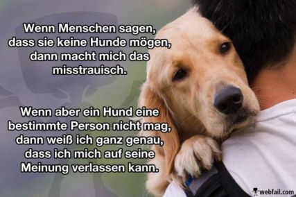 Hunde-und-Menschen.JPG