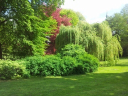 im Garten.jpg