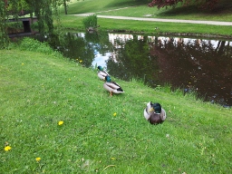 2012-05-09 10.41.29 (256x192).jpg