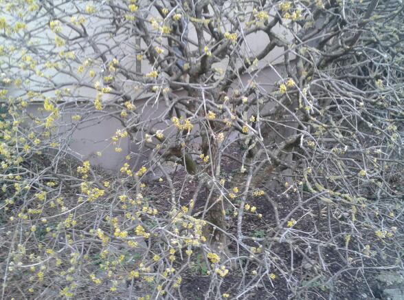 2013-03-23 16.14.27-1.jpg